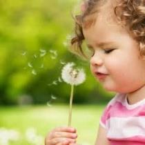 Sami Sami Bouledjraf