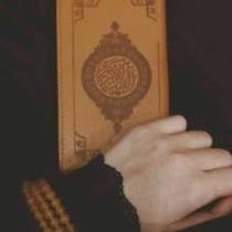 Walaa K Shabeb