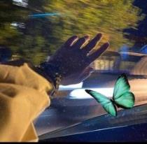 ملاكك وعيوني هلاكك