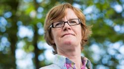 لا يوجد صوره