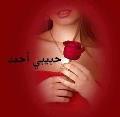 غصن الورود