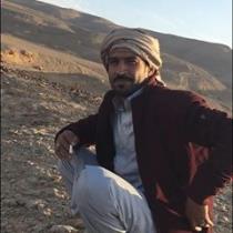 وائل العديني