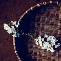 Rawan .F