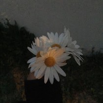 Asmaa Hanane