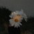 لا يوجد صوره