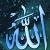 لا يوجد صوره