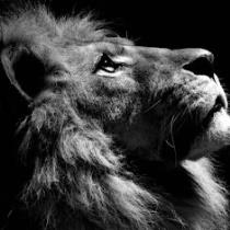 مشعل هاذا الحساب مشعل هاذا الحساب