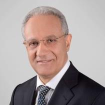 Mansour Elganady