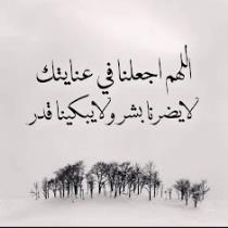 Marwa alshareef