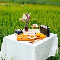 ابراهيم الشامي