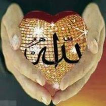 مايا العربى