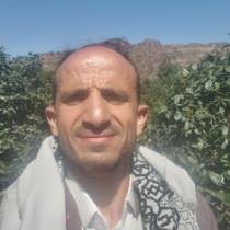 Ahmed Alkeinaee