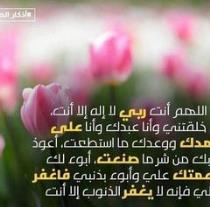 زهرة الياسمين الفرح