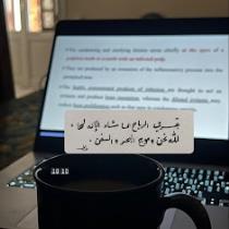 Fatima Abdelmoniem