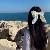 لا يوجد صوره