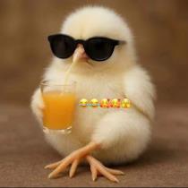 عبيرو محسون