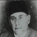 عبد الرحمن البرقوقي