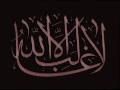 أنس نبيل بدر