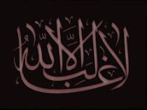 أنس نبيل بدر