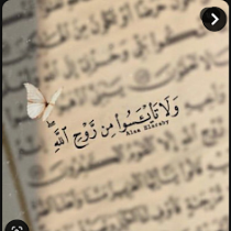 ‫رهف ”جمال“‬‎