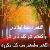 لا يوجد صوره