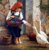 Amany Elsayed