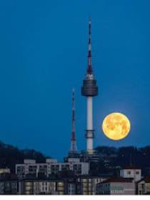 ريم ابو زيد