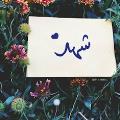 shahd Mohamed