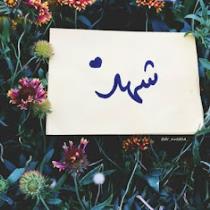 shahd Mohamed