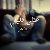 لا يوجد صوره