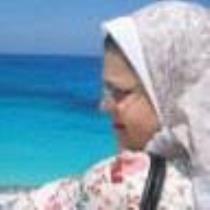 Heba Abdel-Aziz Abdel-Hamid