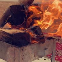 المتفائل المتفائل