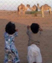 Abdulla
