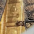 محمد سلامه