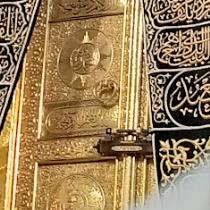 محمد سلامه