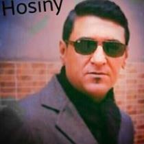 Hamdy EL Hosiny