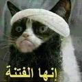 Taher Abdollateef