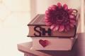 lover m