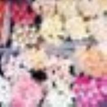 sofenaz