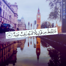 قرة العين