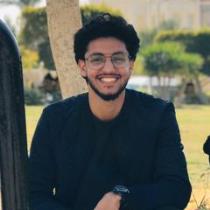 Mohammed G. Alfy