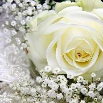 Reham Khaled