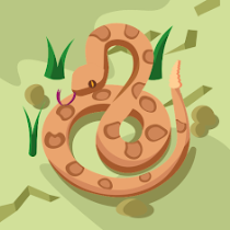 فادي يحيى الضراب