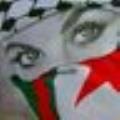 acille.hd