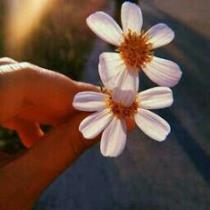 Amira AbdelHamid