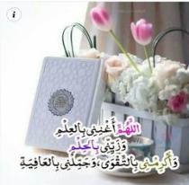 نور الإسلام