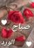 لا يوجد صوره