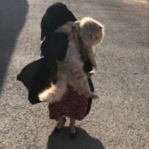 رويَ