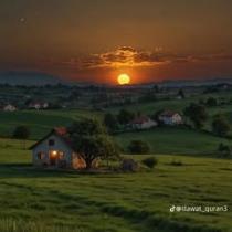 Tansim Tansim