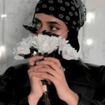 noorh beote